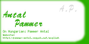 antal pammer business card